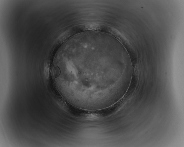 X0000100500741200806131436