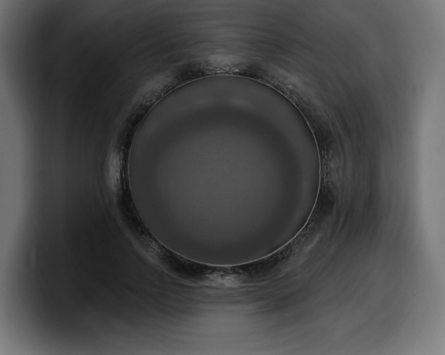 X0000100500742200806131436