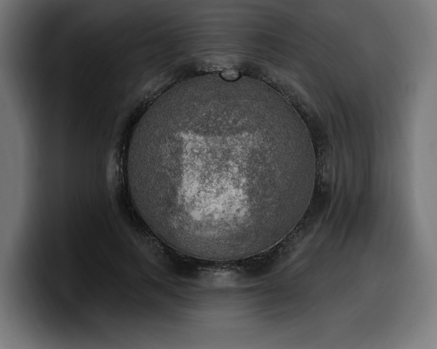 X0000100500743200806131436