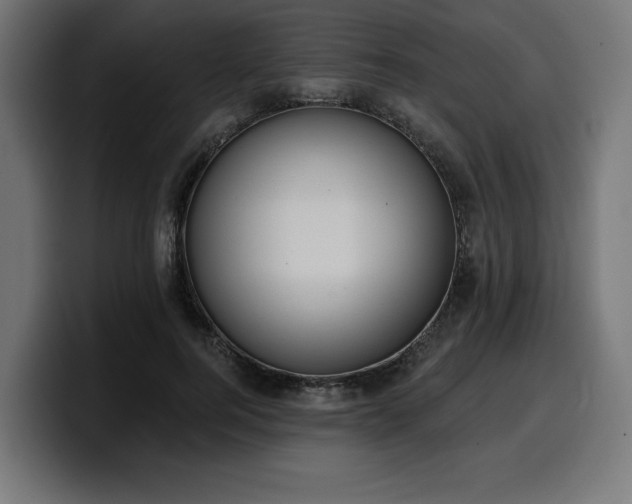 X0000100500744200806131436