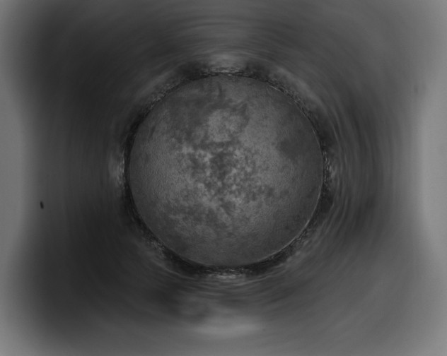 X0000100500745200806131436