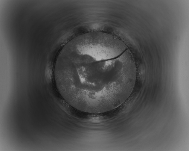 X0000100500746200806131436