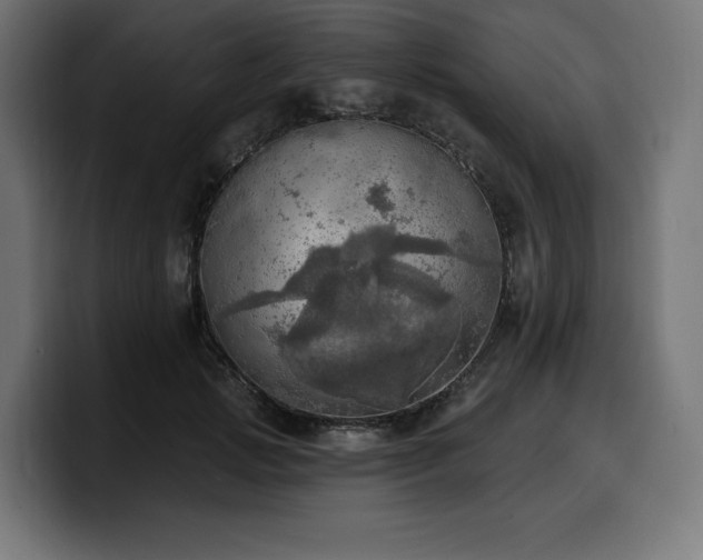 X0000100500749200806131436