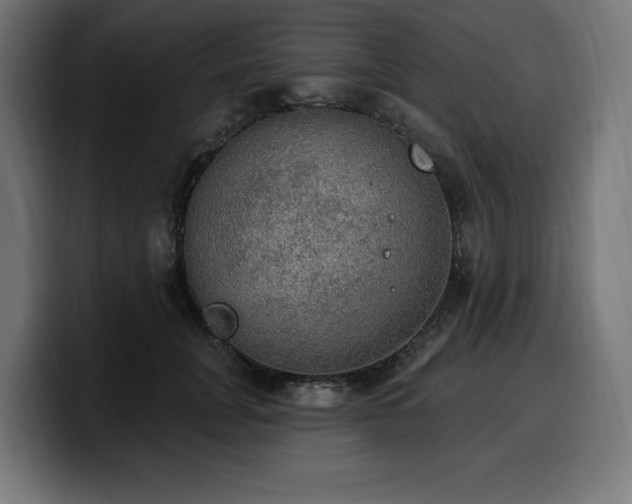 X0000100500751200806131436