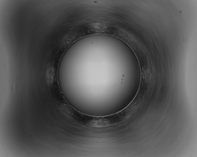 X0000100500752200806131436