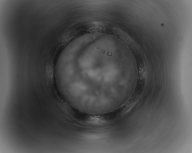 X0000100500753200806131436