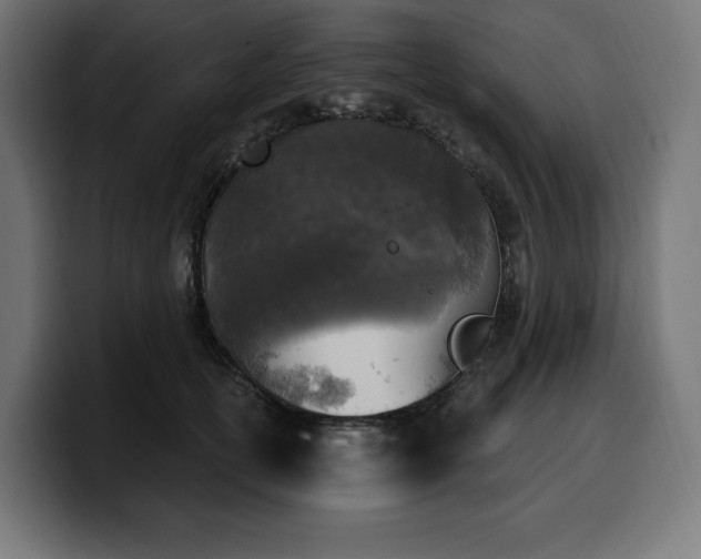 X0000100500754200806131436