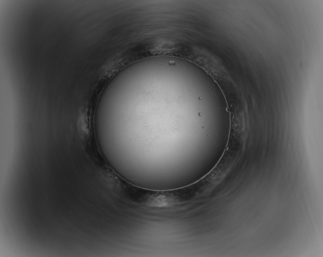 X0000100500755200806131436