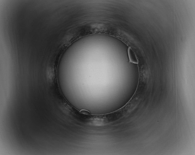 X0000100500756200806131436