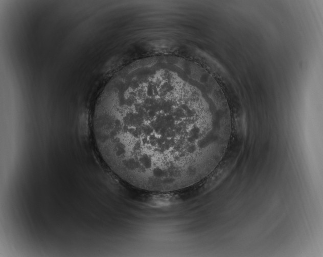 X0000100500757200806131436