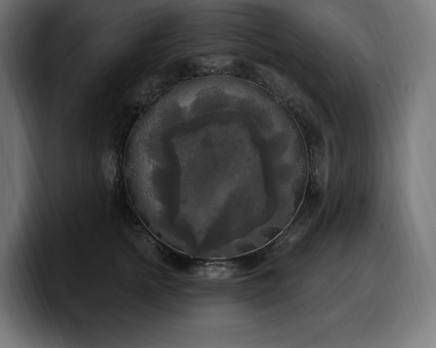 X0000100500758200806131436