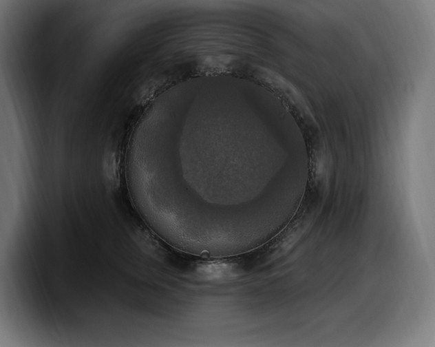 X0000100500759200806131436