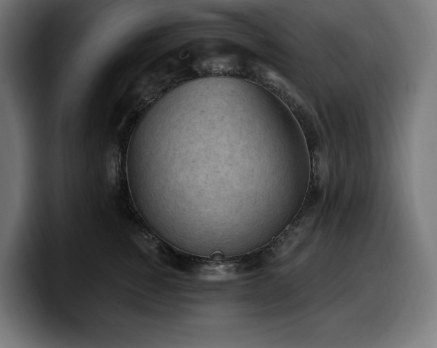 X0000100500760200806131436