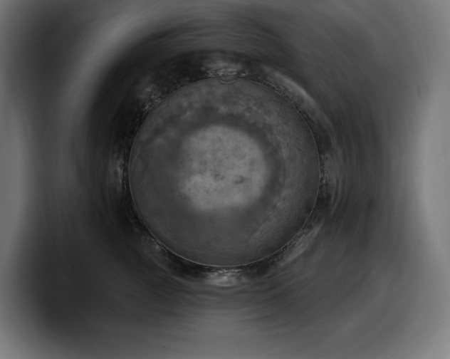 X0000100500761200806131436