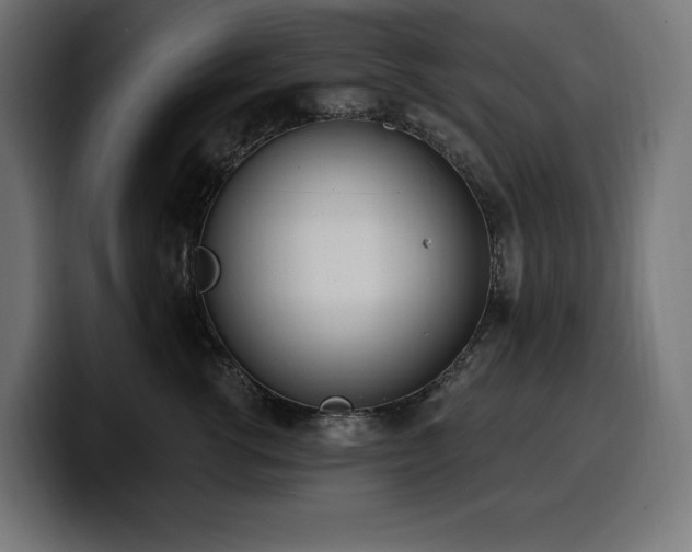 X0000100500762200806131436