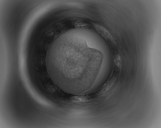 X0000100500763200806131436