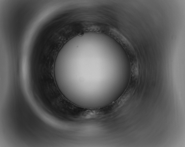 X0000100500764200806131436