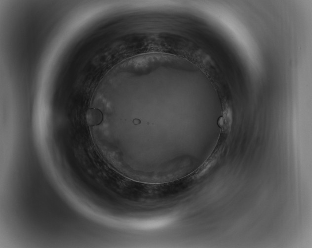 X0000100500765200806131436