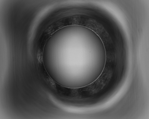 X0000100500766200806131436