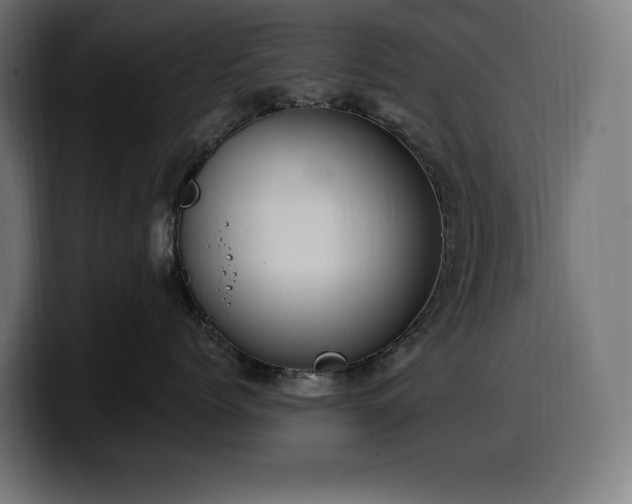 X0000100500768200806131436