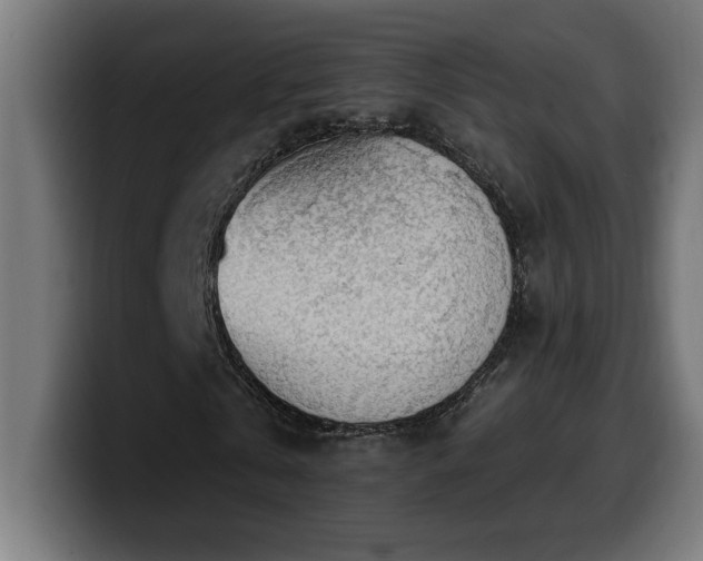 X0000100500769200806131436