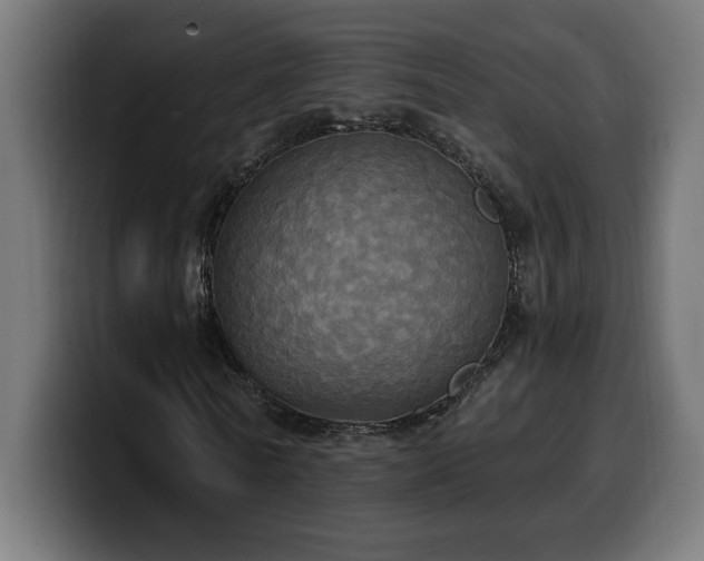 X0000100500770200806131436