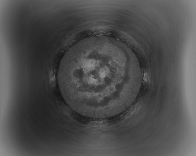 X0000100500771200806131436