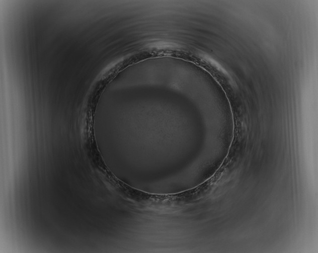 X0000100500775200806131435