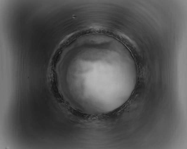 X0000100500776200806131435