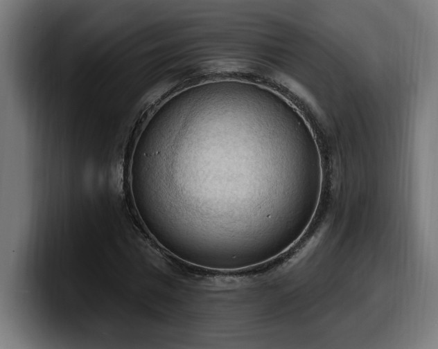 X0000100500777200806131435