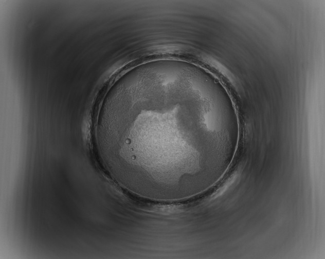 X0000100500778200806131435