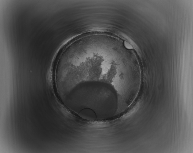 X0000100500779200806131435