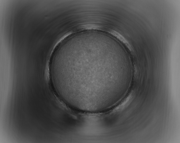 X0000100500782200806131435