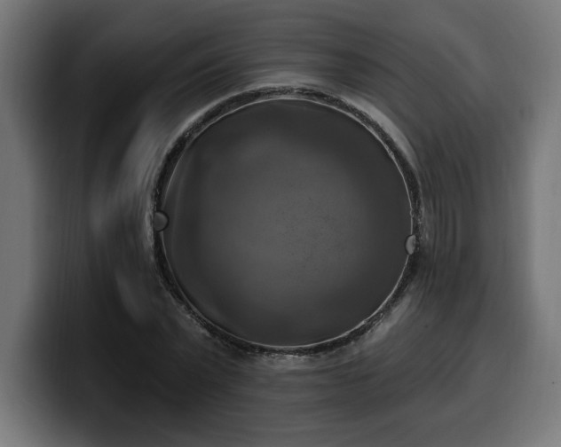 X0000100500783200806131435