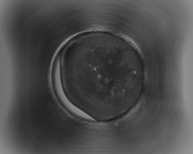 X0000100500784200806131435