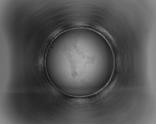 X0000100500785200806131435