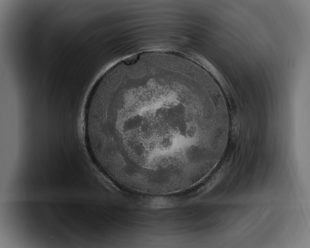 X0000100500787200806131435