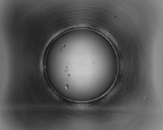 X0000100500789200806131435