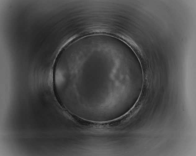 X0000100500790200806131435