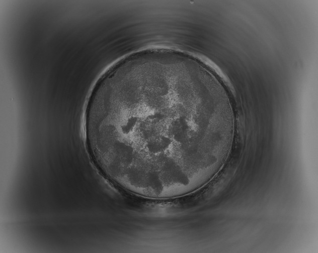 X0000100500791200806131435