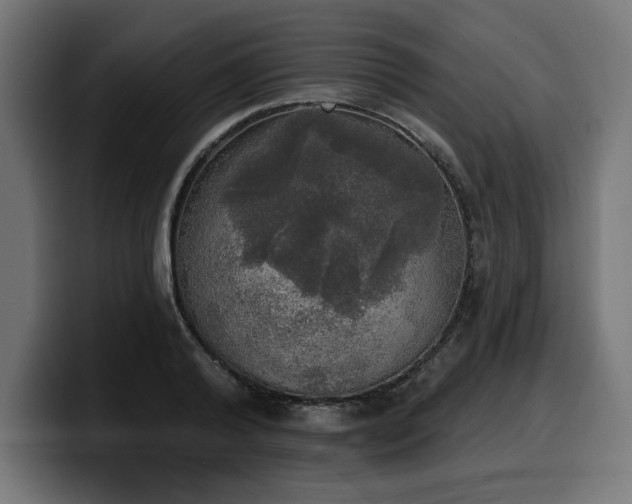 X0000100500792200806131435