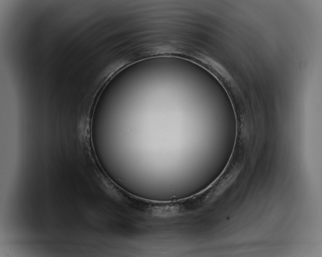 X0000100500793200806131435