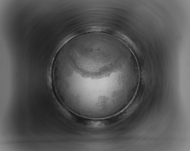 X0000100500794200806131435