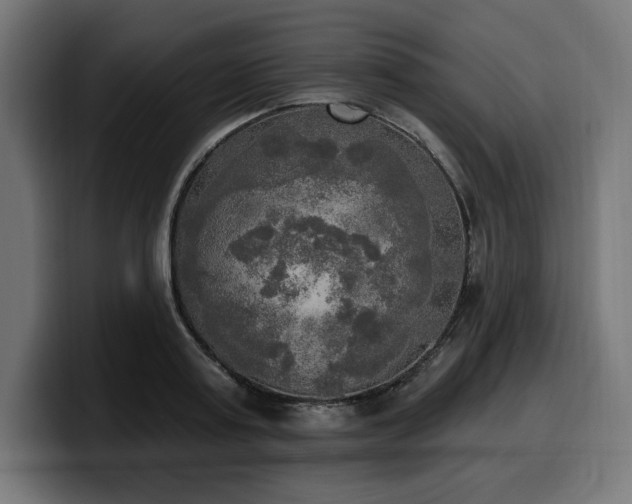 X0000100500795200806131435