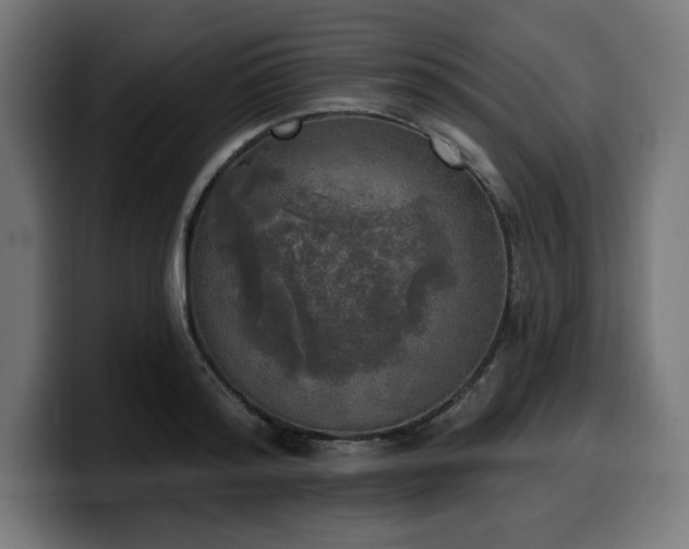 X0000100500796200806131435