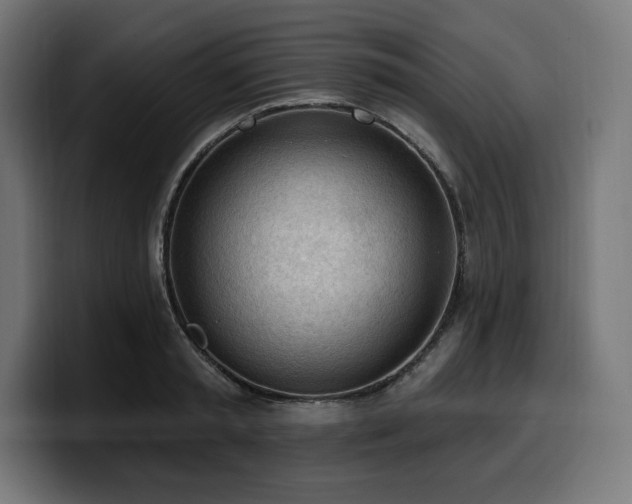 X0000100500797200806131435