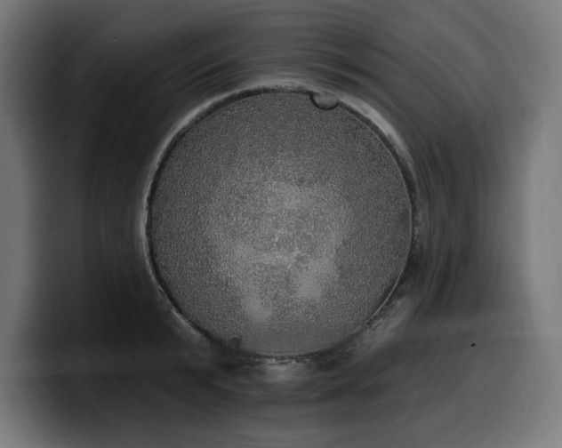 X0000100500799200806131435