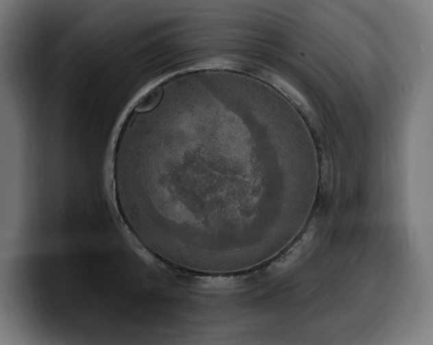 X0000100500800200806131435