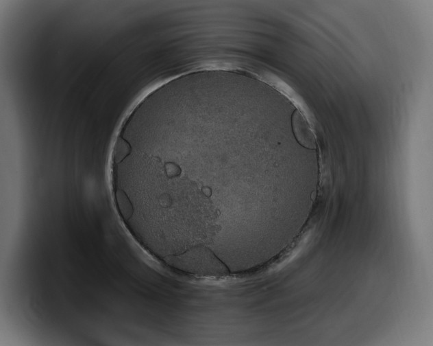 X0000100500803200806131435