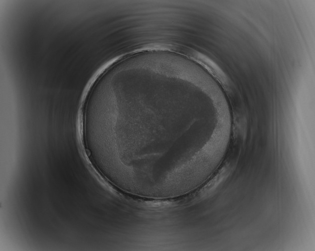 X0000100500804200806131435